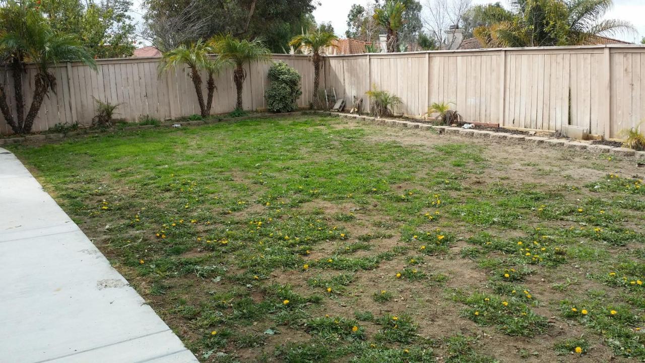 Apartment Luxury 1 Bed 1 Bath Fully Private *